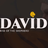 David: Rise of the Shepherd