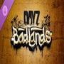 DayZ Badlands