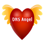 DNS Angel