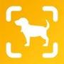 Dog Scan - Breed Identifier