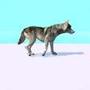 Doggy Run 3D