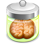 DomainBrain