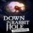 Down the Rabbit Hole Flattened