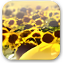 Download Manager Tweak
