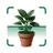Dr Plant: AI Plant Identifier