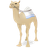 Dragoman