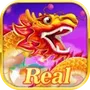 Dragon Rummy - तन पतत रयल
