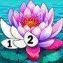 Draw Paint by number