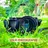 DSLR HD Camera 4K HD Camera Ultra Blur Effect