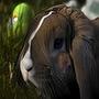 Easter Two Wallpaper