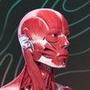 Easy Anatomy. Atlas learning