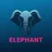 Elephant Bet