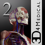 Essential Anatomy
