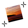ExactScan Pro