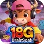 18GBrainSoak