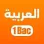 اللغة العربية أولى باك 2024