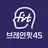 브레인핏45