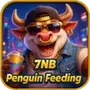 7NB Penguin Feeding