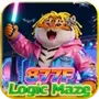 877F Logic Maze
