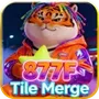 877FTile Merge