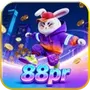 88prPuzzle Roar