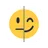 Face Symmetry Check Mirror