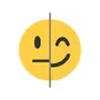 Face Symmetry Check Mirror