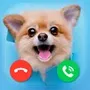 Fake Calls DOGS prank