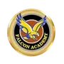 Falcon Academy