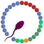 Fertility & Ovulation Tracker