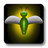 Firefly