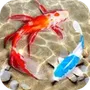 Fish Keyboard 3D Wallpaper