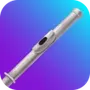 Flute Lessons - tonestro