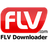 FLV.com FLV Downloader