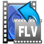 FLV Converter