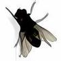 Fly on Desktop