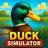 Flying duck family simulator