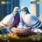 Flying Pigeon Bird simulator