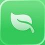 Folium