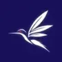 羽飞畅连 for Mac Intel x64