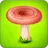 Forest Clans - Mushroom Farm