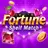 Fortune Shelf Match