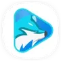 FoxFM Video Player - Offline