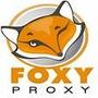 FoxyProxy Standard