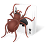 Free Spider Solitaire 2012