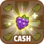 Fruits Poping Win Prizes
