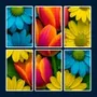 Fun Jigsolitaire : Jigsaw Game