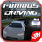 Furious Driving
