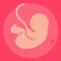 Gestational Age babys age