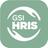 GSI - HRIS